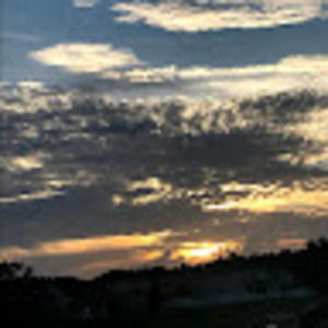 Meet your Posher, Jenn